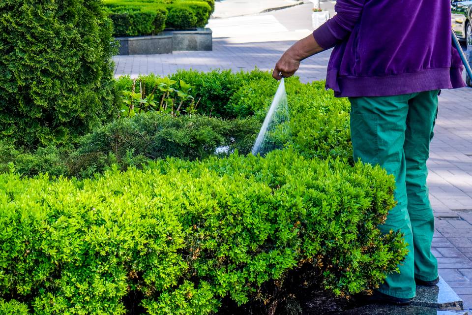 Straat- en groenonderhoud